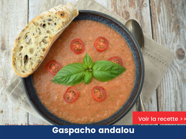 Gaspacho andalou